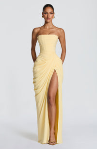 Eliza | Women's Pleated Corset Maxi Dress