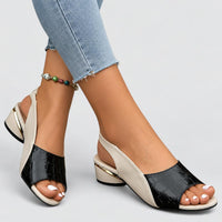 Kate | Women's Two Tone Slip On Low Heels